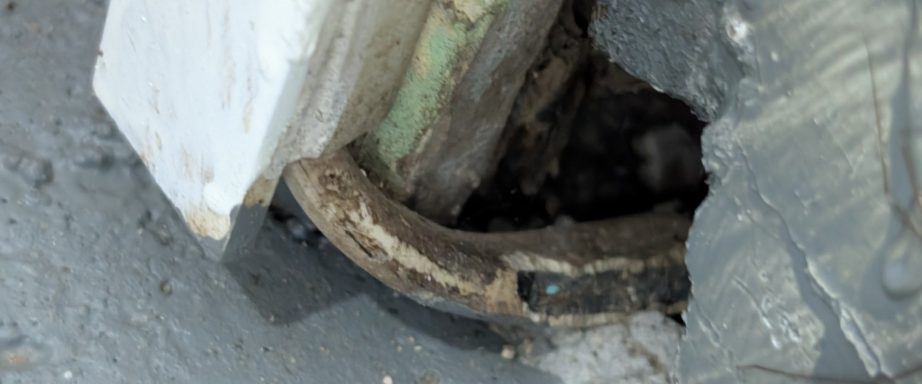 Rodent damage to a cable Rodent damage to a cable